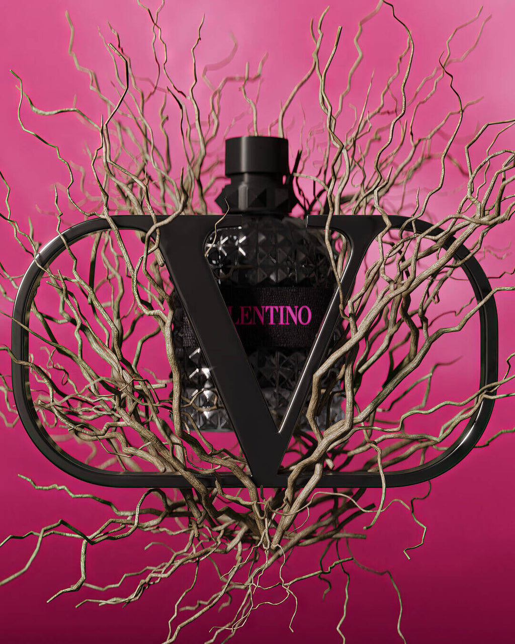 Valentino homo born in Roma extradose
